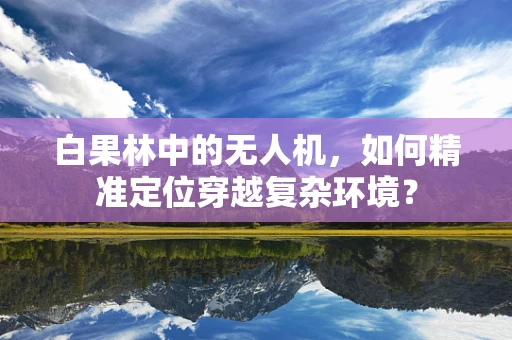 白果林中的无人机，如何精准定位穿越复杂环境？