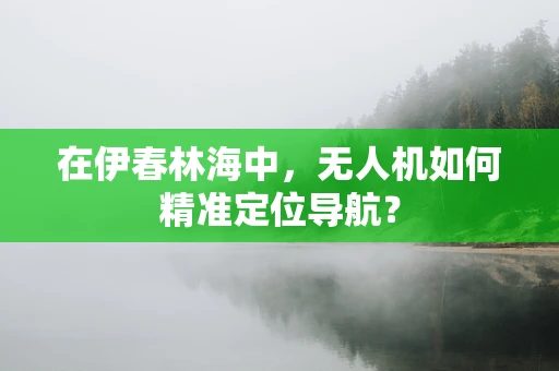在伊春林海中，无人机如何精准定位导航？