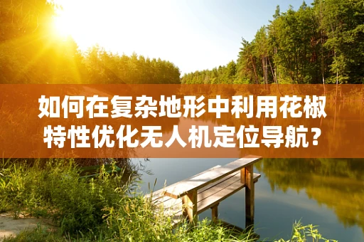 如何在复杂地形中利用花椒特性优化无人机定位导航？