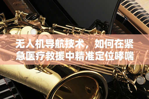 无人机导航技术，如何在紧急医疗救援中精准定位哮喘患儿？