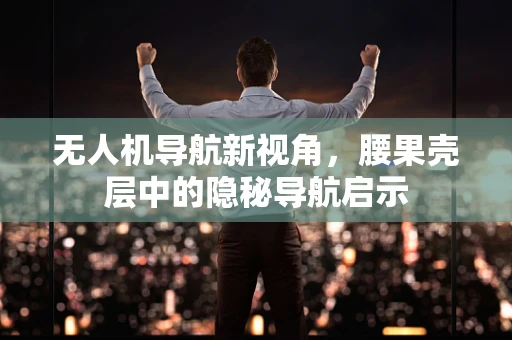 无人机导航新视角，腰果壳层中的隐秘导航启示