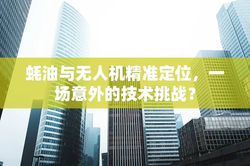 蚝油与无人机精准定位，一场意外的技术挑战？