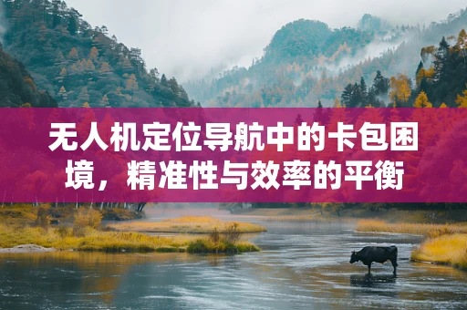 无人机定位导航中的卡包困境，精准性与效率的平衡