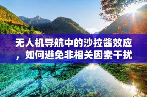 无人机导航中的沙拉酱效应，如何避免非相关因素干扰？