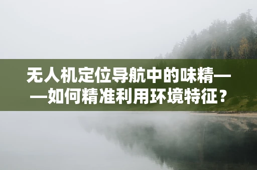 无人机定位导航中的味精——如何精准利用环境特征？