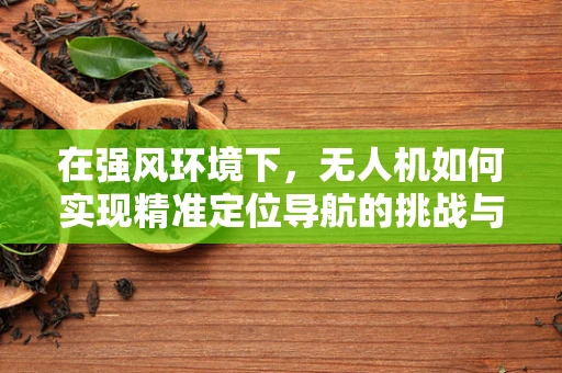 在强风环境下，无人机如何实现精准定位导航的挑战与对策？