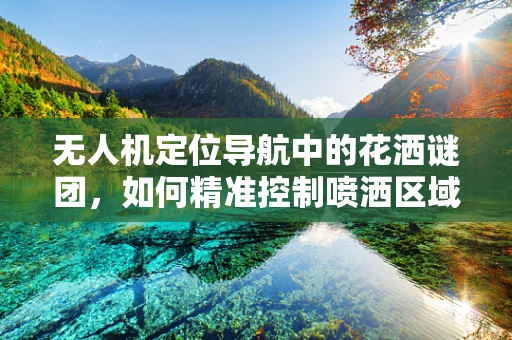 无人机定位导航中的花洒谜团，如何精准控制喷洒区域？