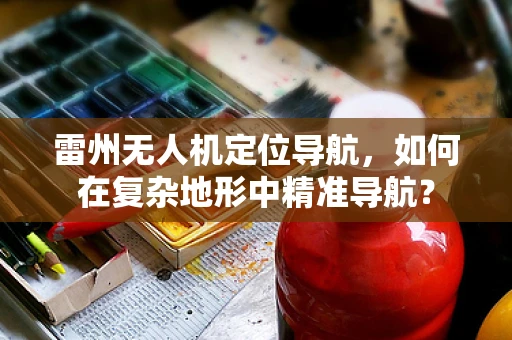 雷州无人机定位导航，如何在复杂地形中精准导航？