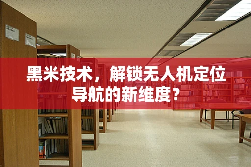 黑米技术，解锁无人机定位导航的新维度？