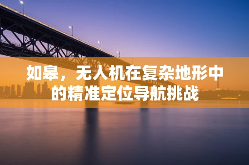如皋，无人机在复杂地形中的精准定位导航挑战