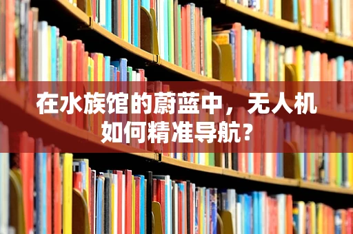 在水族馆的蔚蓝中，无人机如何精准导航？