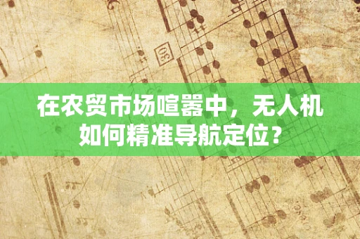 在农贸市场喧嚣中，无人机如何精准导航定位？