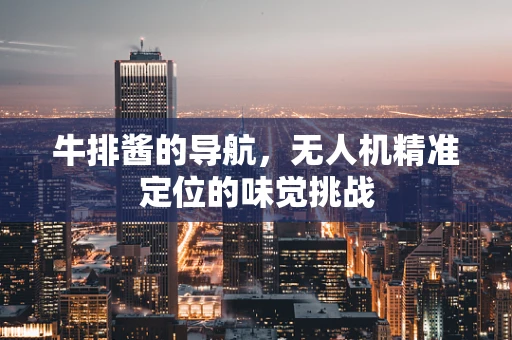牛排酱的导航，无人机精准定位的味觉挑战