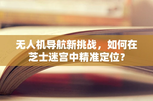 无人机导航新挑战，如何在芝士迷宫中精准定位？