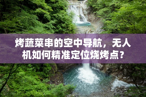 烤蔬菜串的空中导航，无人机如何精准定位烧烤点？