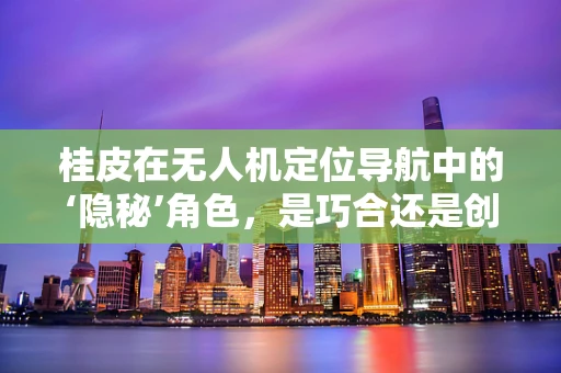 桂皮在无人机定位导航中的‘隐秘’角色，是巧合还是创新？