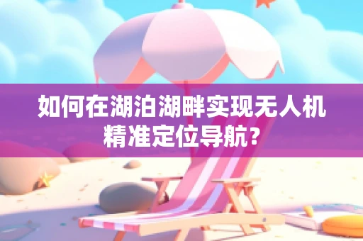 如何在湖泊湖畔实现无人机精准定位导航？
