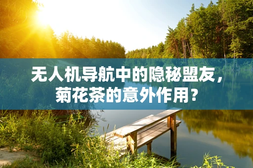 无人机导航中的隐秘盟友，菊花茶的意外作用？
