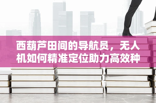 西葫芦田间的导航员，无人机如何精准定位助力高效种植？