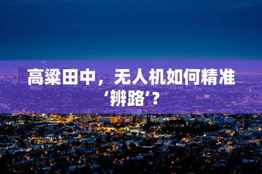 高粱田中，无人机如何精准‘辨路’？