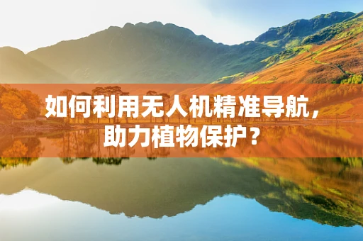 如何利用无人机精准导航，助力植物保护？