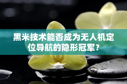 黑米技术能否成为无人机定位导航的隐形冠军？