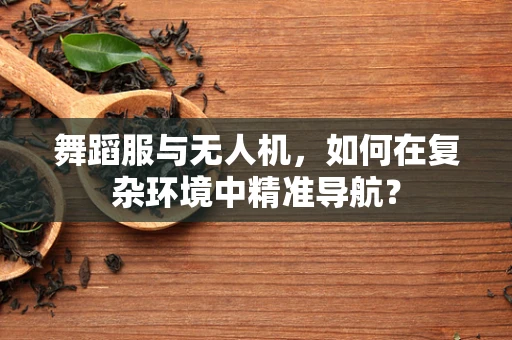 舞蹈服与无人机，如何在复杂环境中精准导航？