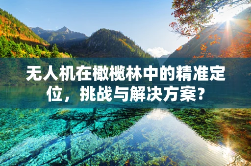 无人机在橄榄林中的精准定位，挑战与解决方案？