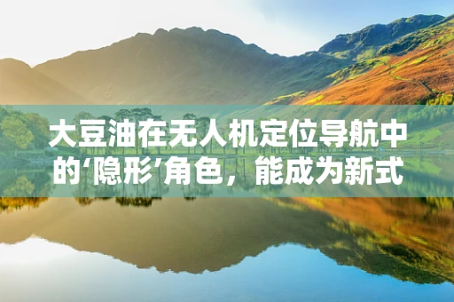大豆油在无人机定位导航中的‘隐形’角色，能成为新式‘燃料’吗？