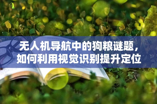 无人机导航中的狗粮谜题，如何利用视觉识别提升定位精度？