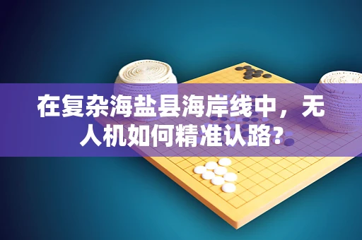 在复杂海盐县海岸线中，无人机如何精准认路？