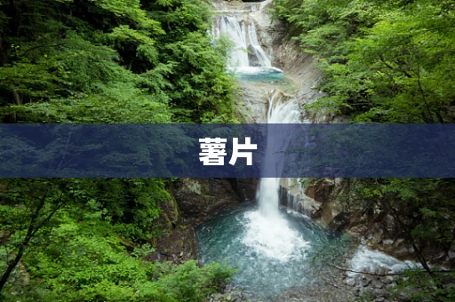 薯片