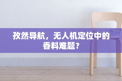 孜然导航，无人机定位中的香料难题？
