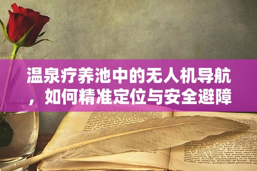 温泉疗养池中的无人机导航，如何精准定位与安全避障？