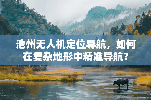 池州无人机定位导航，如何在复杂地形中精准导航？