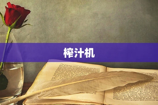 榨汁机