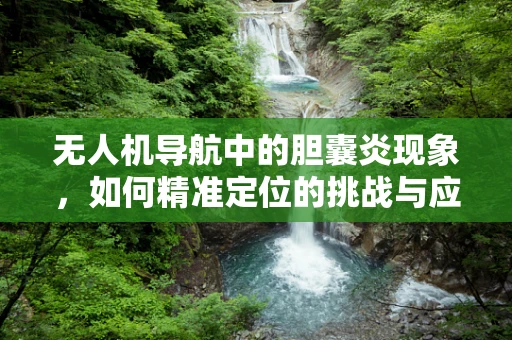 无人机导航中的胆囊炎现象，如何精准定位的挑战与应对？