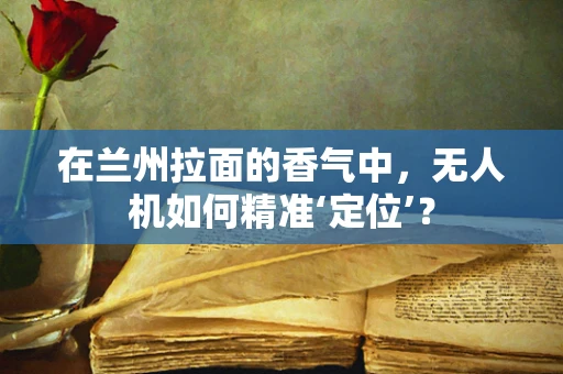 在兰州拉面的香气中，无人机如何精准‘定位’？
