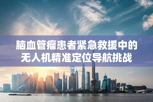 脑血管瘤患者紧急救援中的无人机精准定位导航挑战