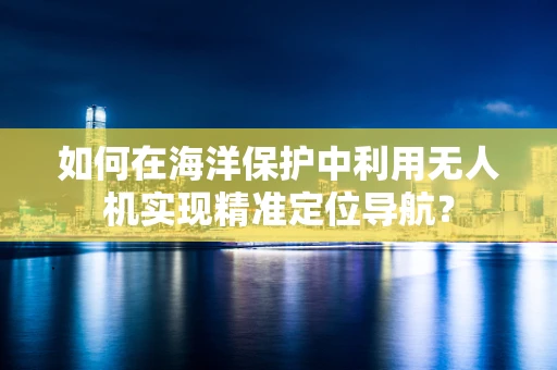 如何在海洋保护中利用无人机实现精准定位导航？