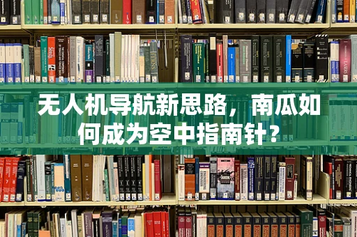 无人机导航新思路，南瓜如何成为空中指南针？