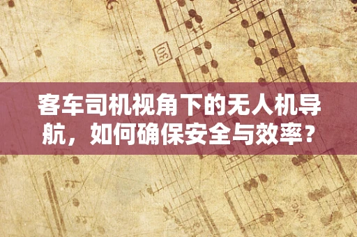 客车司机视角下的无人机导航，如何确保安全与效率？