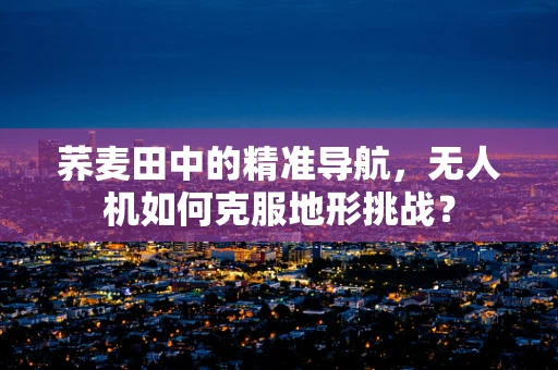 荞麦田中的精准导航，无人机如何克服地形挑战？
