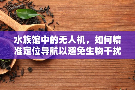 水族馆中的无人机，如何精准定位导航以避免生物干扰？