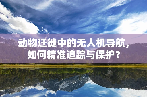 动物迁徙中的无人机导航，如何精准追踪与保护？