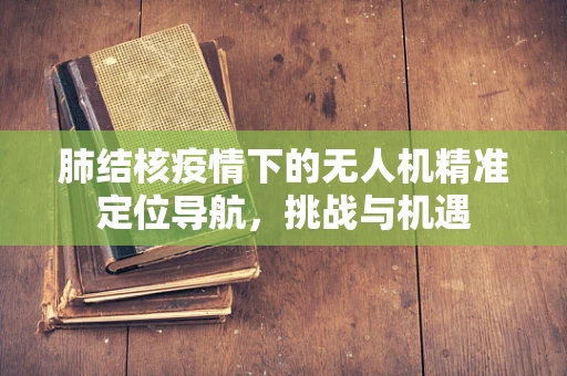 肺结核疫情下的无人机精准定位导航，挑战与机遇