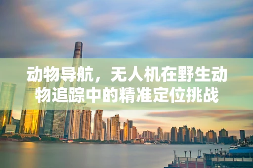 动物导航，无人机在野生动物追踪中的精准定位挑战