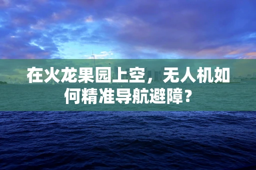 在火龙果园上空，无人机如何精准导航避障？