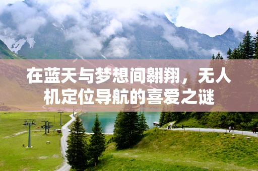 在蓝天与梦想间翱翔，无人机定位导航的喜爱之谜