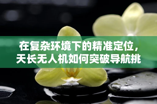 在复杂环境下的精准定位，天长无人机如何突破导航挑战？